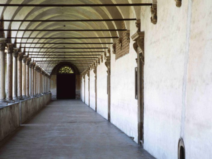 Fondo Virgilio Carnisio - Pavia e Provincia - Certosa di Pavia - 1993