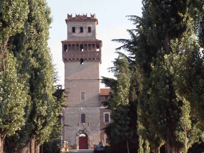 Fondo Virgilio Carnisio - Pavia e Provincia - Chignolo Po - 1991