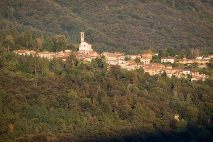Fondo Afi - Valtravaglia - Bosco Valtravaglia - 2014 - Foto Claudio Camisasca