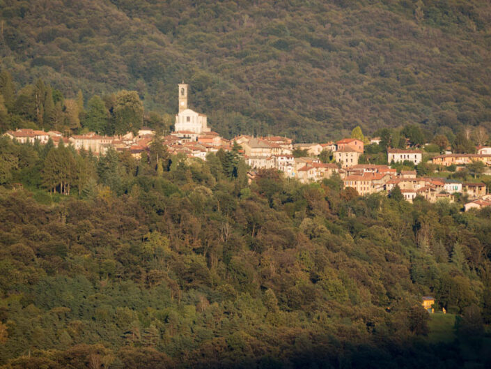Fondo Afi - Valtravaglia - Bosco Valtravaglia - 2014 - Foto Claudio Camisasca